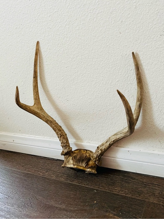 Other - Natural Brown Deer Antler Wall Decor - Rustic Home Accent